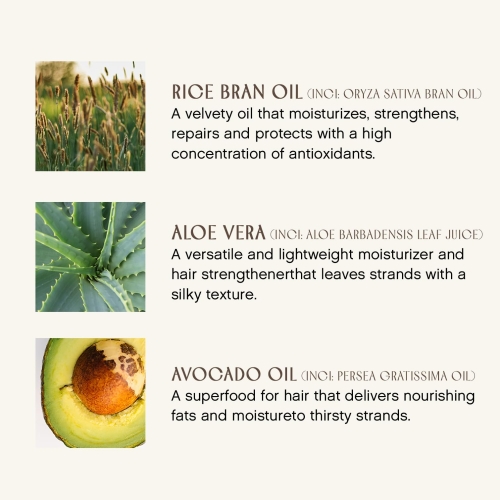 Innersense - Organic Pure Inspiration Daily Conditioner (10 oz) - Image 2